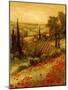 Toscano Valley II-Art Fronckowiak-Mounted Art Print