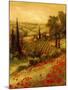 Toscano Valley II-Art Fronckowiak-Mounted Art Print