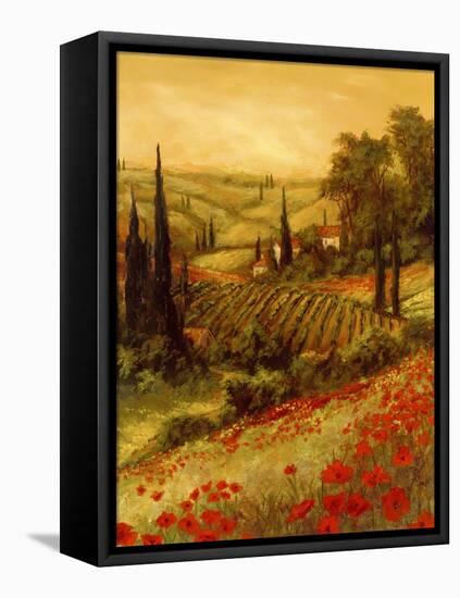 Toscano Valley II-Art Fronckowiak-Framed Stretched Canvas