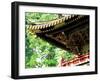 Tosho-Gu Shrine-null-Framed Photographic Print