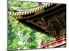 Tosho-Gu Shrine-null-Mounted Photographic Print