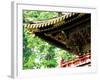 Tosho-Gu Shrine-null-Framed Photographic Print