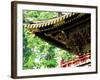 Tosho-Gu Shrine-null-Framed Photographic Print