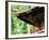 Tosho-Gu Shrine-null-Framed Photographic Print