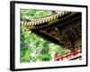 Tosho-Gu Shrine-null-Framed Photographic Print