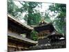 Tosho-Gu Temple Shrine-null-Mounted Photographic Print