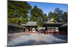 Toshogu Shrine, UNESCO World Heritage Site, Nikko, Kanto, Japan, Asia-Michael Runkel-Mounted Photographic Print