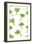 Toss Palm Pattern-Julie DeRice-Framed Art Print