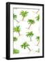 Toss Palm Pattern-Julie DeRice-Framed Art Print