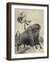 Tossed by a Prairie Bull-null-Framed Giclee Print