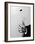 Tossing a Coin-null-Framed Photographic Print