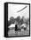 Tossing the Caber at the Highland Games, Scotland, 1936-null-Framed Stretched Canvas