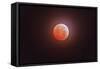 Total Eclipse of the Moon-Stocktrek Images-Framed Stretched Canvas