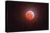 Total Eclipse of the Moon-Stocktrek Images-Stretched Canvas