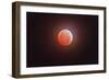 Total Eclipse of the Moon-Stocktrek Images-Framed Photographic Print