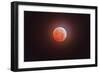 Total Eclipse of the Moon-Stocktrek Images-Framed Photographic Print