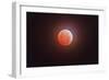 Total Eclipse of the Moon-Stocktrek Images-Framed Photographic Print