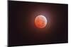 Total Eclipse of the Moon-Stocktrek Images-Mounted Photographic Print