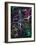 Total Insanity-Ruth Palmer-Framed Art Print