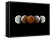 Total Lunar Eclipse, Montage Image-Dr. Juerg Alean-Framed Stretched Canvas