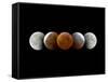 Total Lunar Eclipse, Montage Image-Dr. Juerg Alean-Framed Stretched Canvas