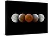 Total Lunar Eclipse, Montage Image-Dr. Juerg Alean-Stretched Canvas