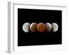Total Lunar Eclipse, Montage Image-Dr. Juerg Alean-Framed Premium Photographic Print