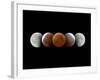 Total Lunar Eclipse, Montage Image-Dr. Juerg Alean-Framed Photographic Print