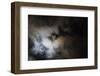 Total lunar eclipse of the sun on September 1st 2016, Tamatave, eastern Madagascar, Africa-Christian Kober-Framed Photographic Print