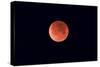 Total Lunar Eclipse Taken Near Calgary, Alberta, Canada-null-Stretched Canvas