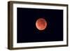 Total Lunar Eclipse Taken Near Calgary, Alberta, Canada-null-Framed Photographic Print