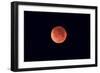 Total Lunar Eclipse Taken Near Calgary, Alberta, Canada-null-Framed Photographic Print