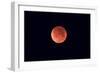 Total Lunar Eclipse Taken Near Calgary, Alberta, Canada-null-Framed Photographic Print