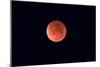 Total Lunar Eclipse Taken Near Calgary, Alberta, Canada-null-Mounted Photographic Print