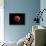 Total Lunar Eclipse Taken on December 10, 2011-null-Stretched Canvas displayed on a wall