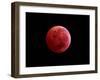 Total Lunar Eclipse Taken on December 10, 2011-null-Framed Photographic Print