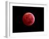 Total Lunar Eclipse Taken on December 10, 2011-null-Framed Photographic Print