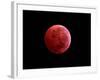 Total Lunar Eclipse Taken on December 10, 2011-null-Framed Photographic Print