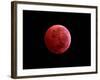 Total Lunar Eclipse Taken on December 10, 2011-null-Framed Photographic Print