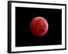 Total Lunar Eclipse Taken on December 10, 2011-null-Framed Photographic Print