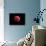 Total Lunar Eclipse Taken on December 10, 2011-null-Mounted Photographic Print displayed on a wall