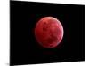 Total Lunar Eclipse Taken on December 10, 2011-null-Mounted Photographic Print