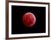 Total Lunar Eclipse Taken on December 10, 2011-null-Framed Photographic Print