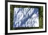 Total Solar Eclipse, 2017-null-Framed Photographic Print