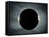 Total solar eclipse, corona at totality-null-Framed Stretched Canvas