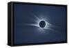 Total solar eclipse, corona at totality-null-Framed Stretched Canvas