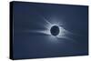 Total solar eclipse, corona at totality-null-Stretched Canvas