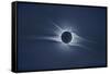 Total solar eclipse, corona at totality-null-Framed Stretched Canvas