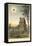 Total Solar Eclipse of 1860 Observed from Tarragona, Spain, 1884-null-Framed Stretched Canvas