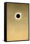 Total Solar Eclipse of 1882 And Comet-Detlev Van Ravenswaay-Framed Stretched Canvas